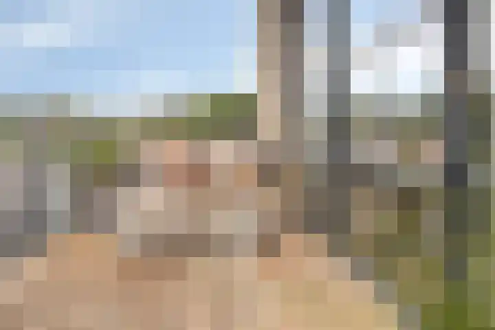 Visserkade 4 Lisse thumbnail 27