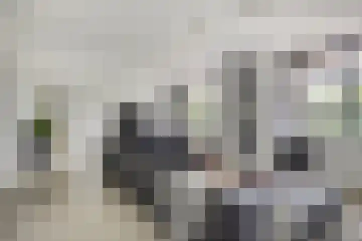 Visserkade 4 Lisse thumbnail 31