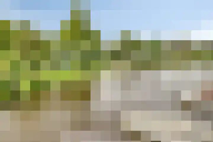 Visserkade 4 Lisse thumbnail 32