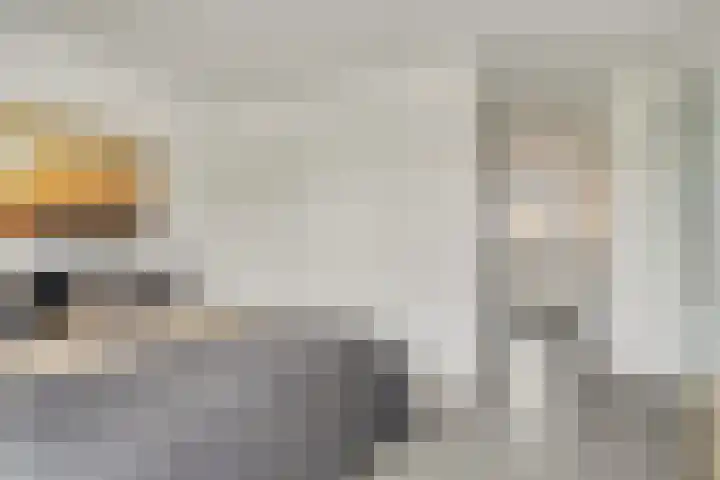 Visserkade 4 Lisse thumbnail 33