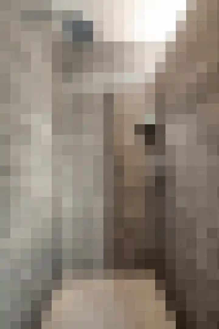 Visserkade 4 Lisse thumbnail 36