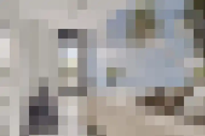 Visserkade 4 Lisse thumbnail 37