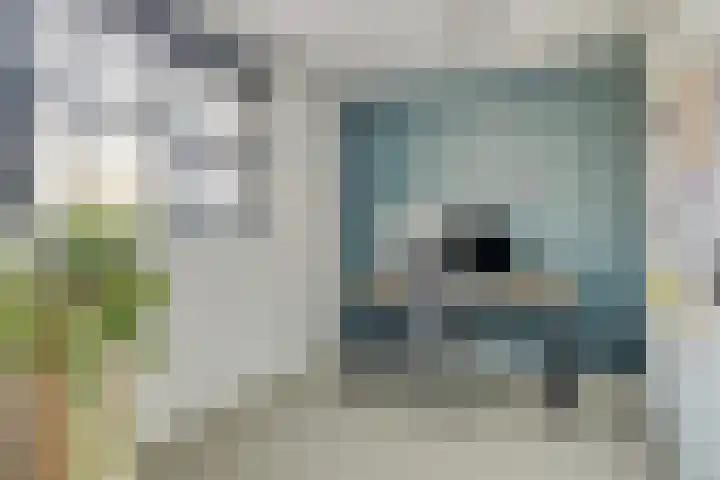 Visserkade 4 Lisse thumbnail 38