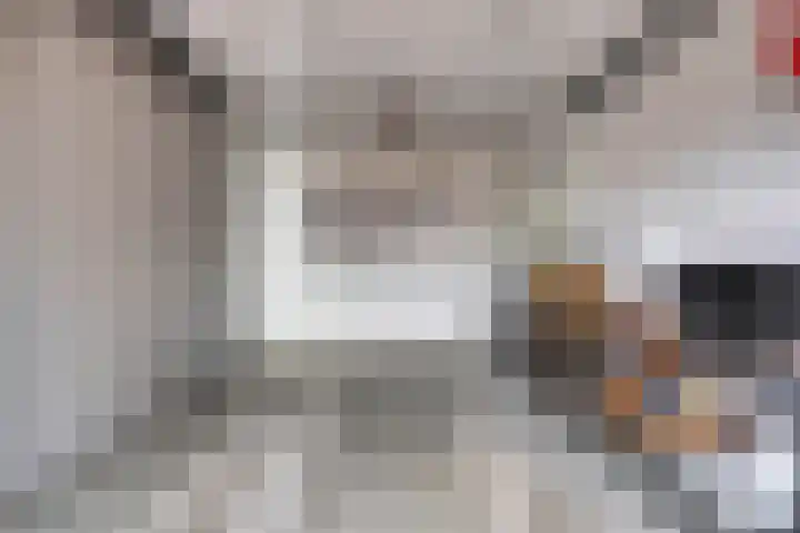Visserkade 4 Lisse thumbnail 46