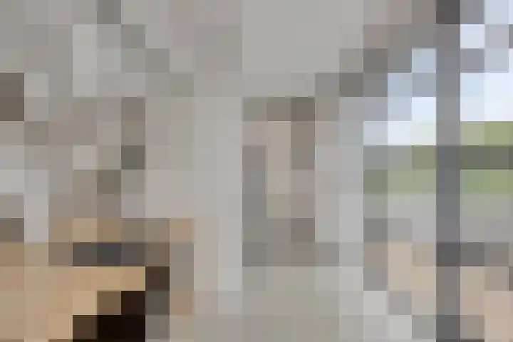 Visserkade 4 Lisse thumbnail 5