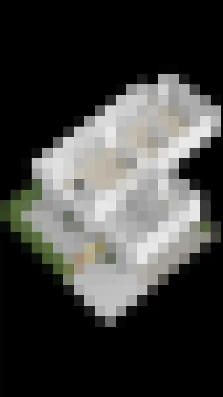 Visserkade 4 Lisse thumbnail 52