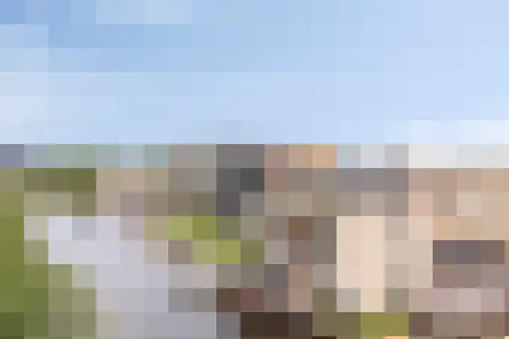 Visserkade 4 Lisse thumbnail 8
