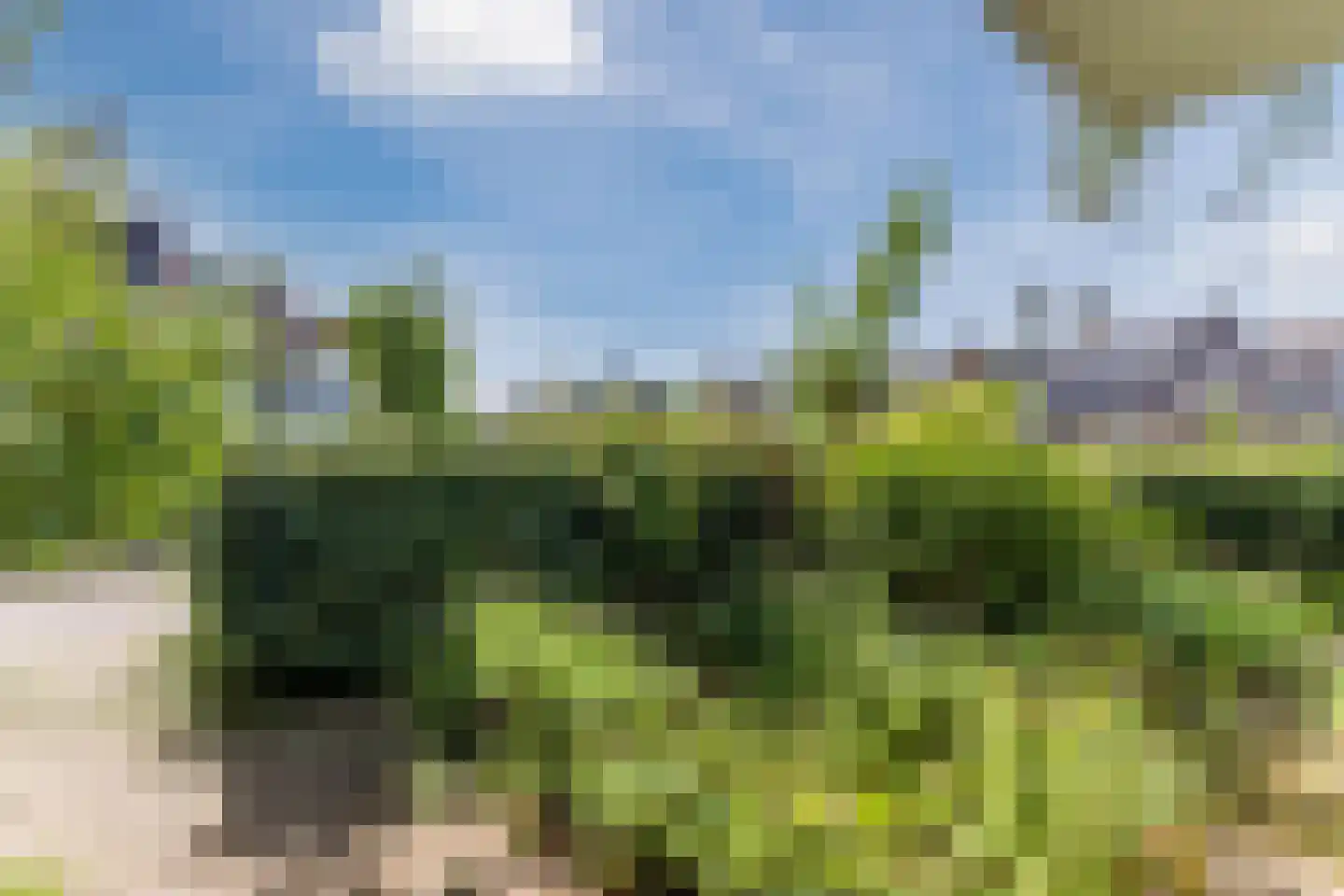 Vissersbocht 13 Haarlem thumbnail 30