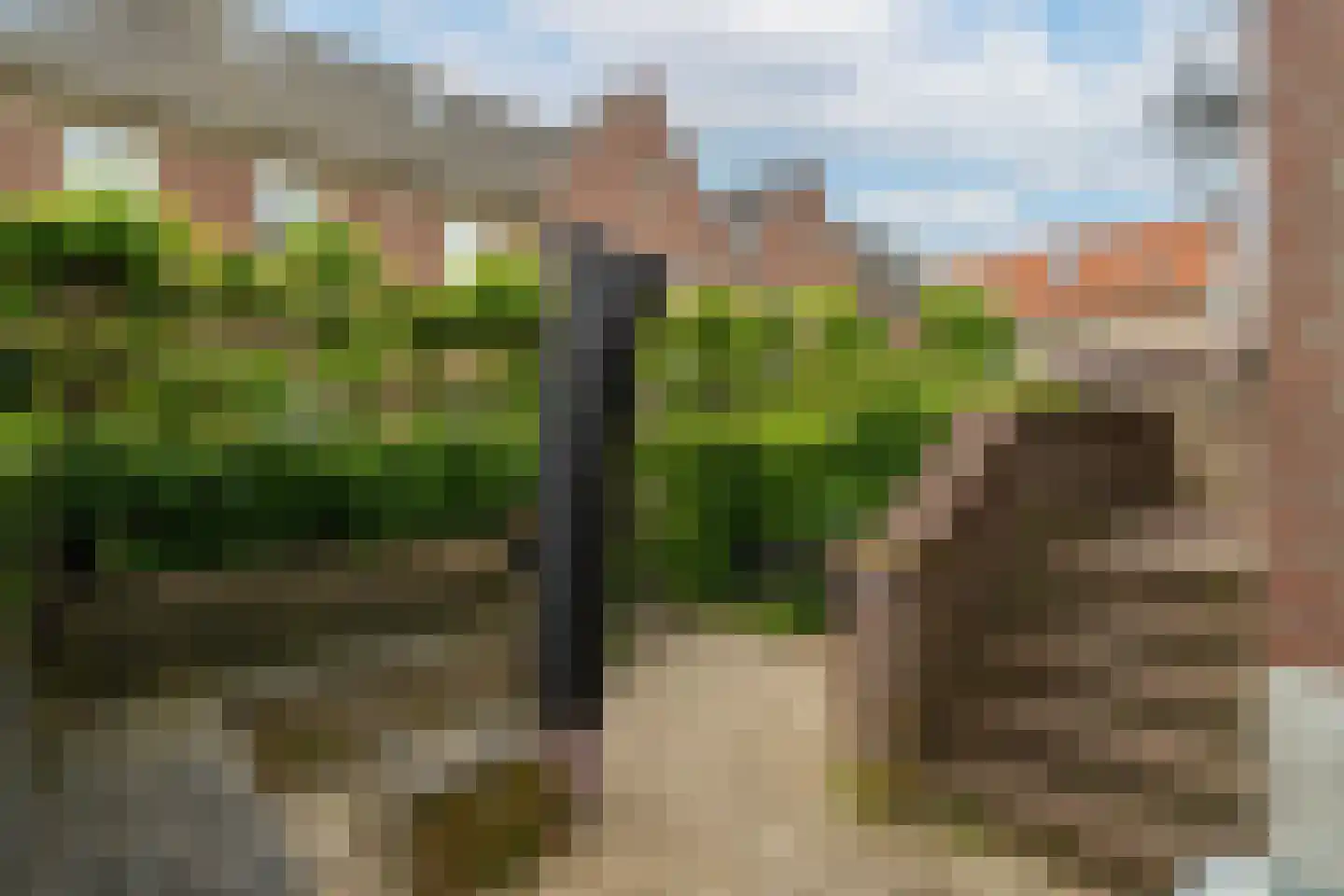 Vissersdijk 1 f Woudrichem thumbnail 26