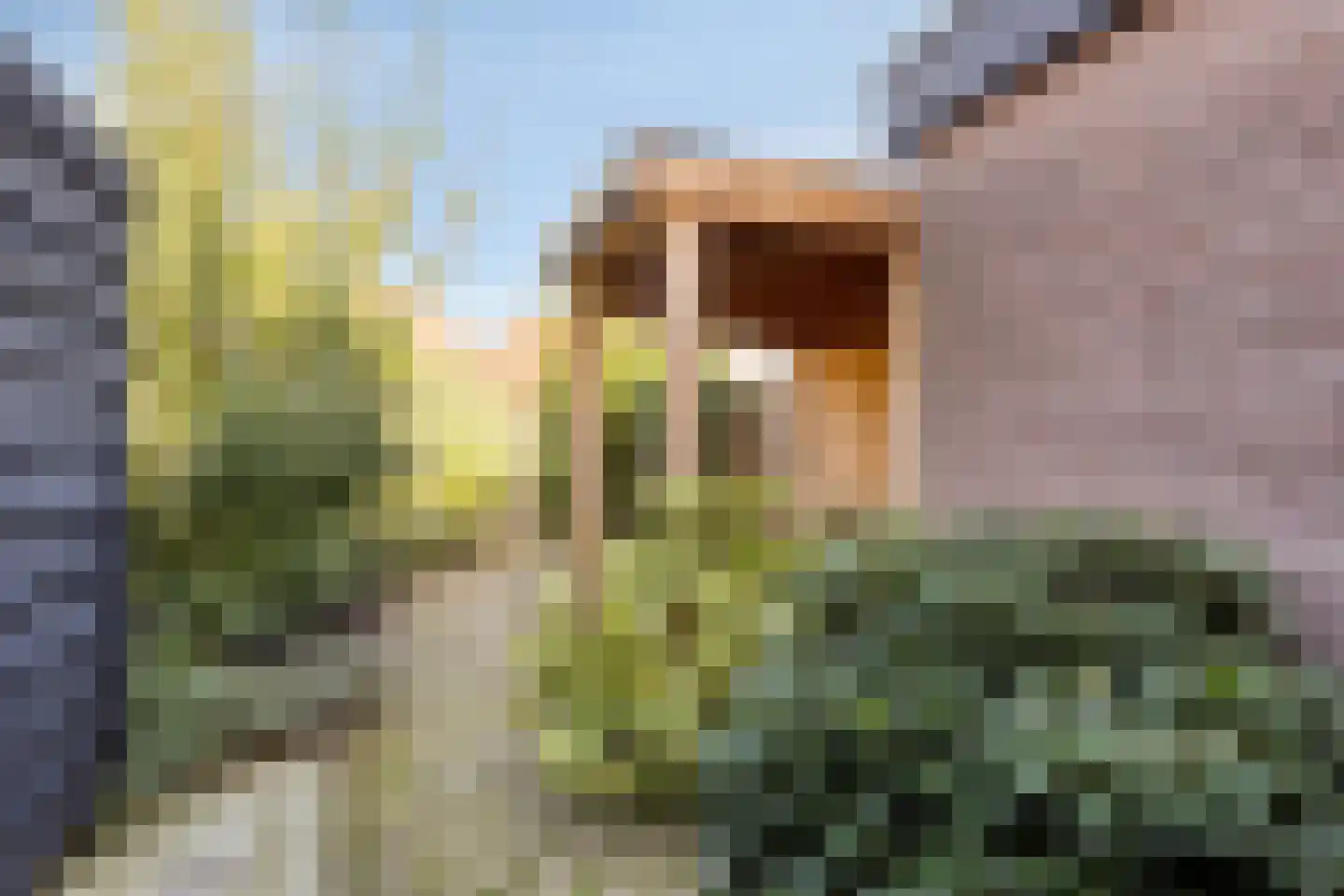 Vissersdijk 11 Middelharnis thumbnail 35
