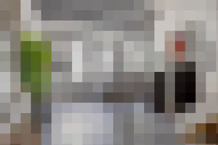 Vissersdijk 4 Heenvliet thumbnail 12