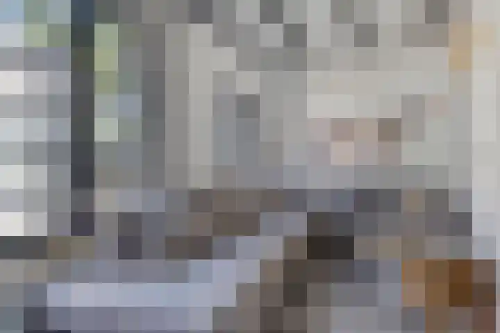 Vissersdijk 4 Heenvliet thumbnail 13