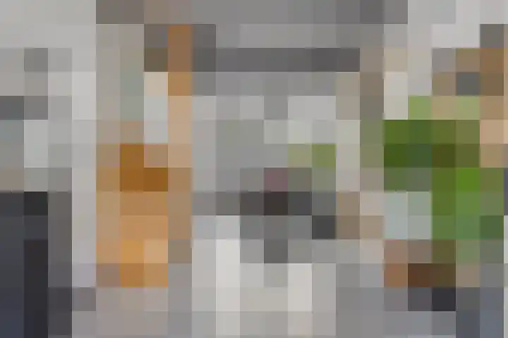 Vissersdijk 4 Heenvliet thumbnail 15
