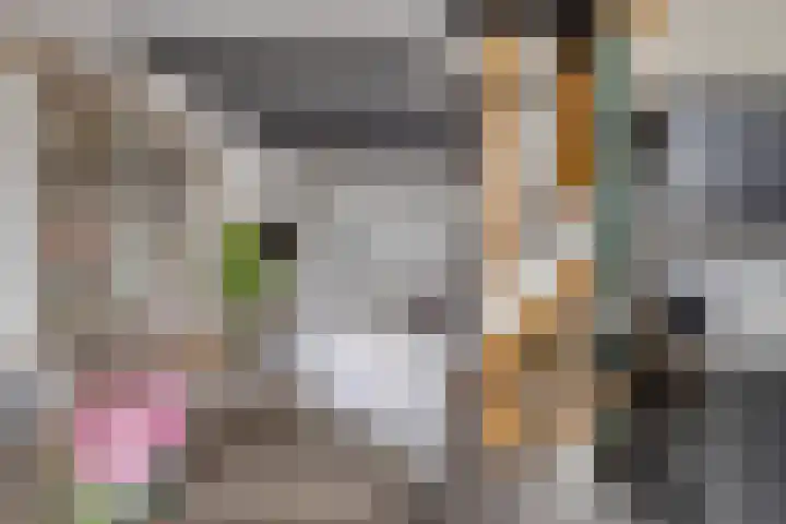 Vissersdijk 4 Heenvliet thumbnail 18