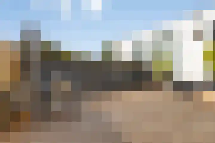 Vissersdijk 4 Heenvliet thumbnail 22