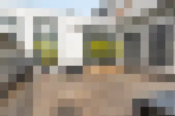 Vissersdijk 4 Heenvliet thumbnail 24