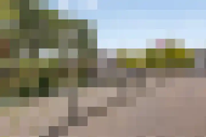 Vissersdijk 4 Heenvliet thumbnail 31