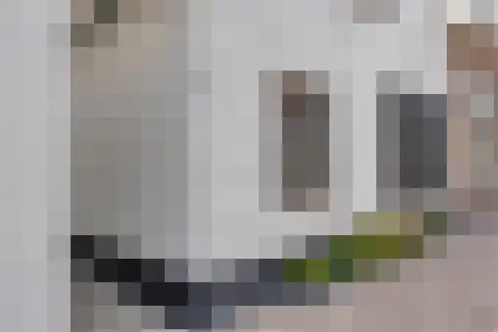 Vissersdijk 4 Heenvliet thumbnail 6
