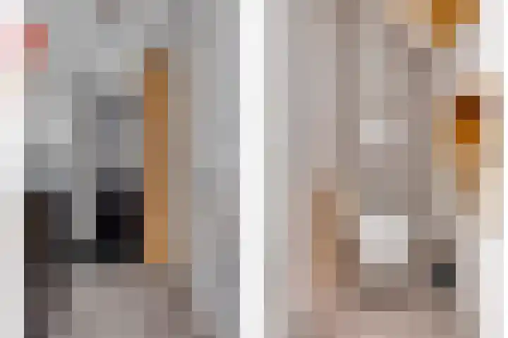 Vissersdijk 4 Heenvliet thumbnail 8