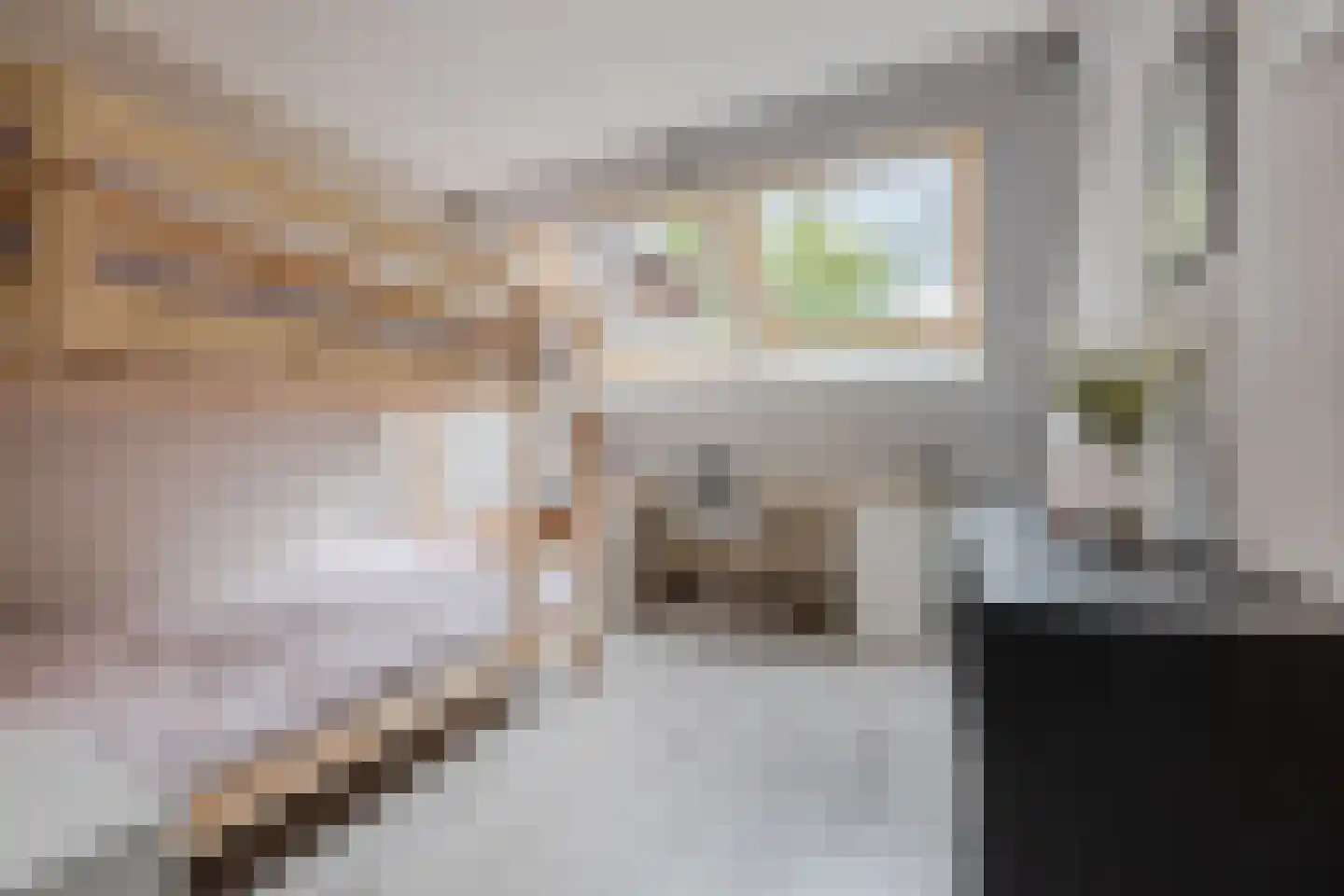 Vissersdijk 4 Woudrichem thumbnail 14