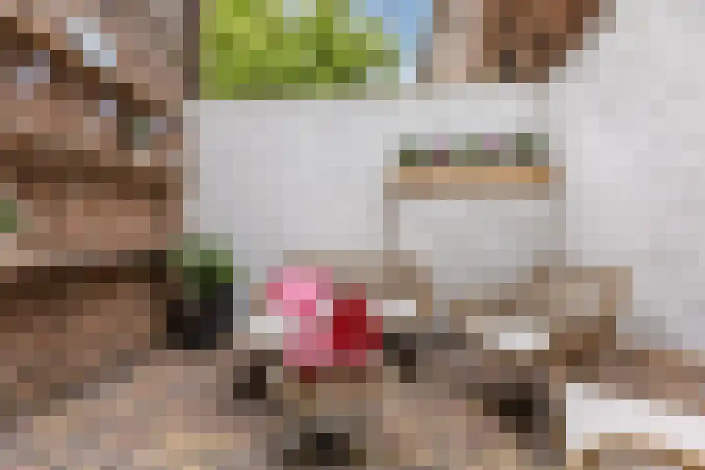 Vissersdijk 4 Woudrichem thumbnail 18