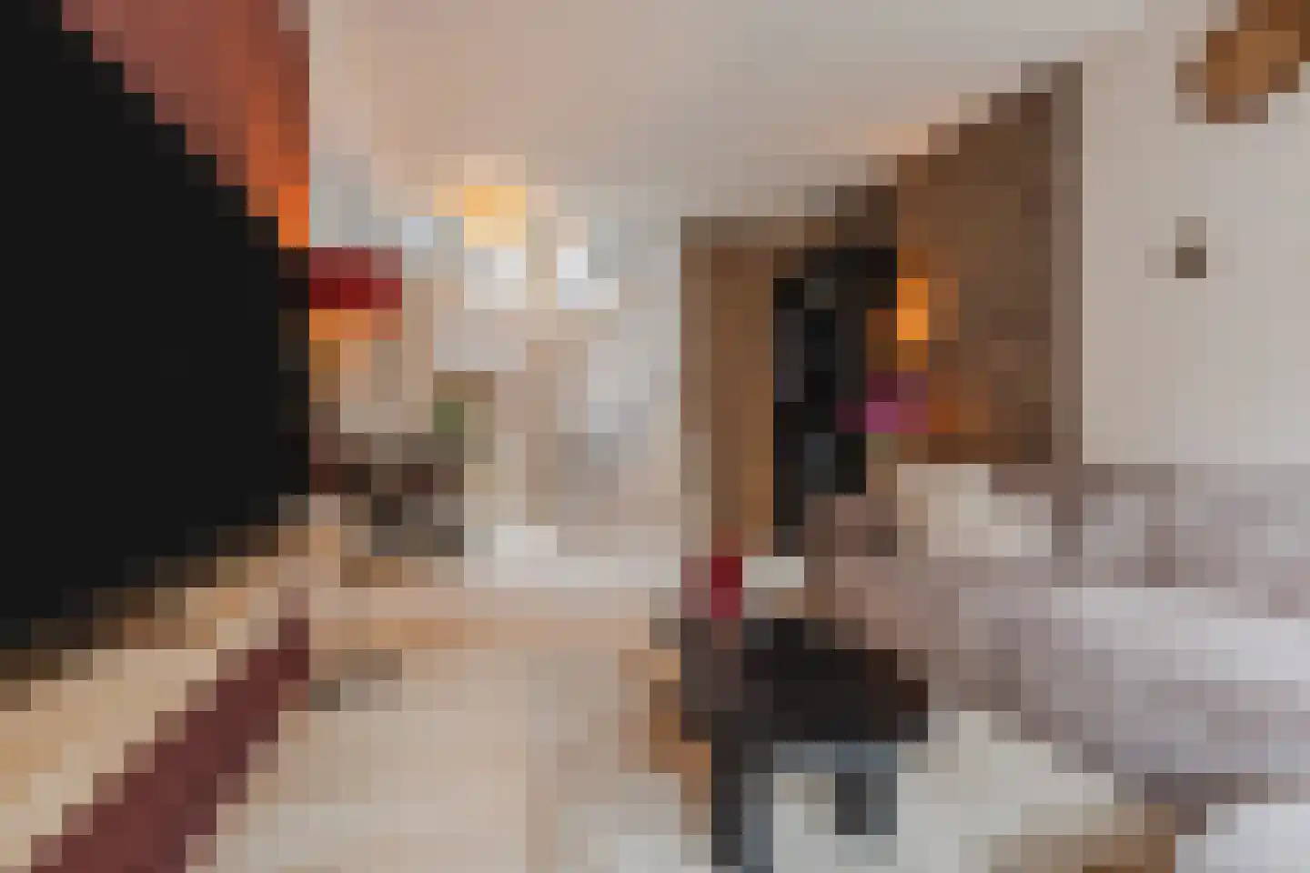 Vissersdijk 4 Woudrichem thumbnail 6