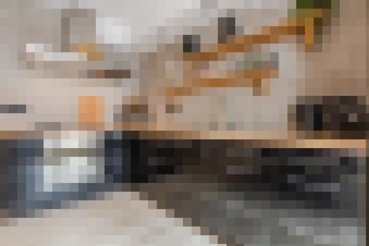 Vissersdijk 4 Woudrichem thumbnail 9