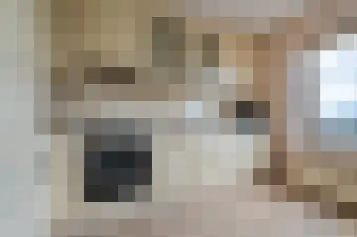 Vissersdijk 5 G 2 Winschoten thumbnail 30