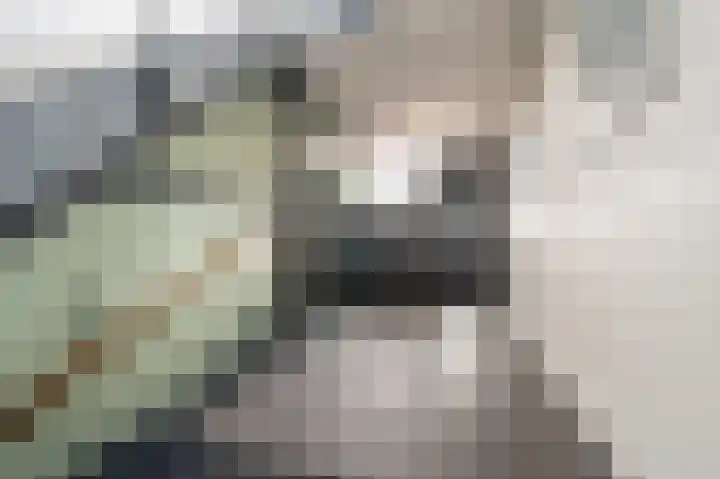 Vissersdijk 5 G 2 Winschoten thumbnail 7