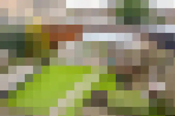 Vissersdijk 52 Werkendam thumbnail 30