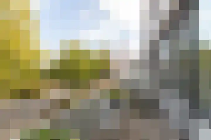 Vissersdijk 54 Winschoten thumbnail 6