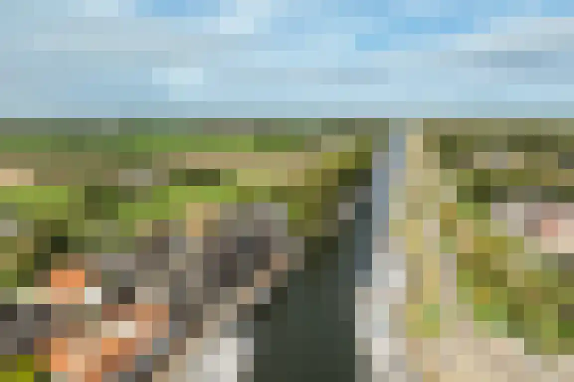 Vissersdijk 58 Middelharnis thumbnail 4