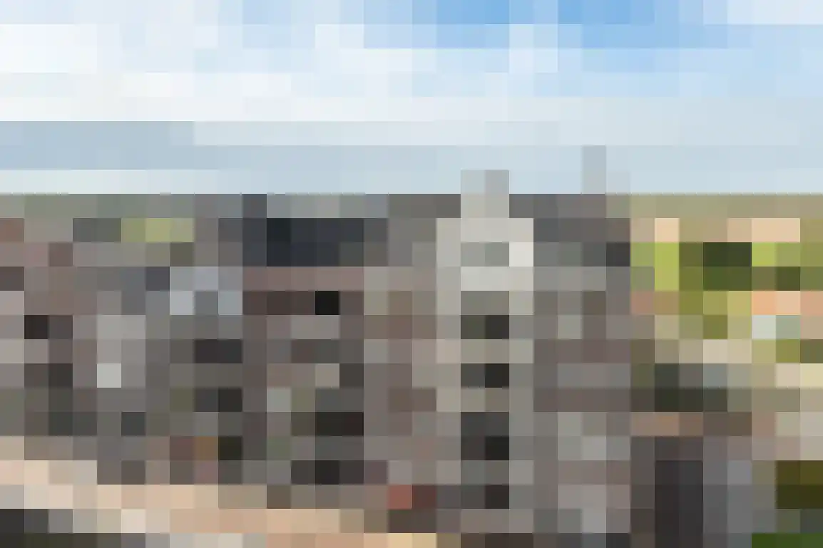 Vissersdijk 58 Middelharnis thumbnail 6