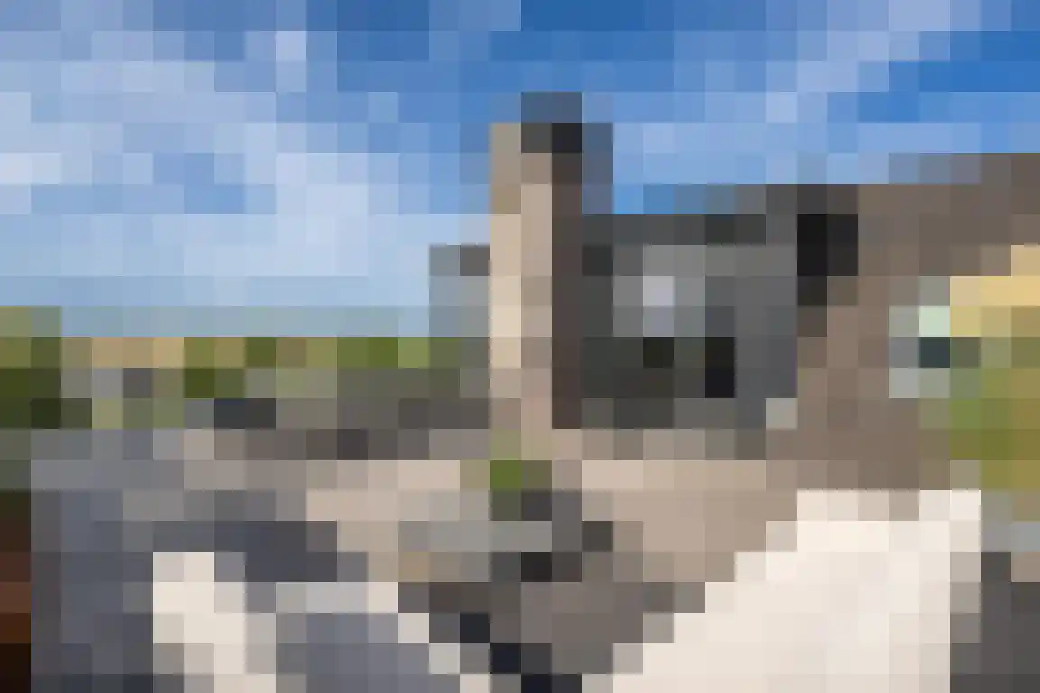 Vissersdijk 58 Middelharnis thumbnail 60