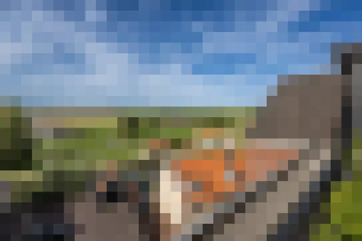 Vissersdijk 58 Middelharnis thumbnail 62