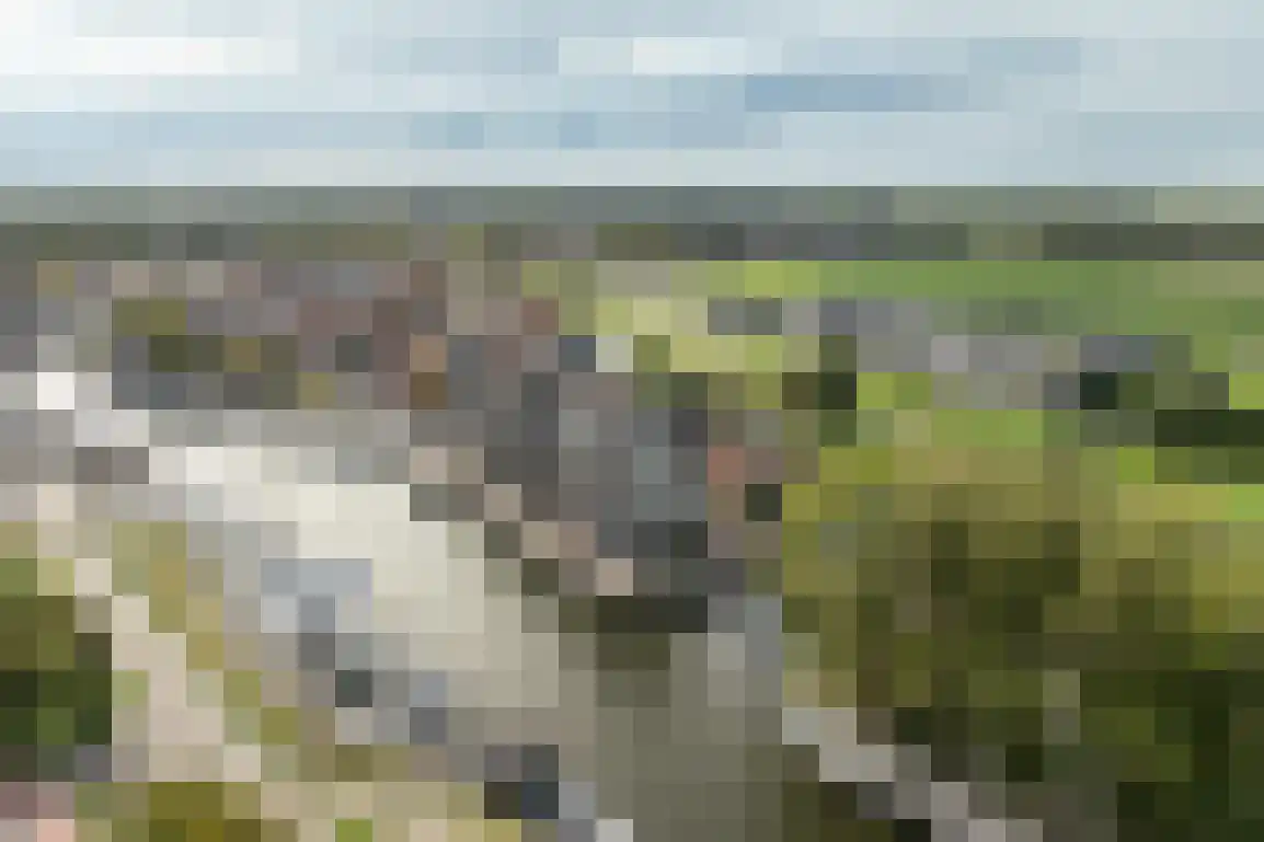 Vissersdijk 58 Middelharnis thumbnail 68