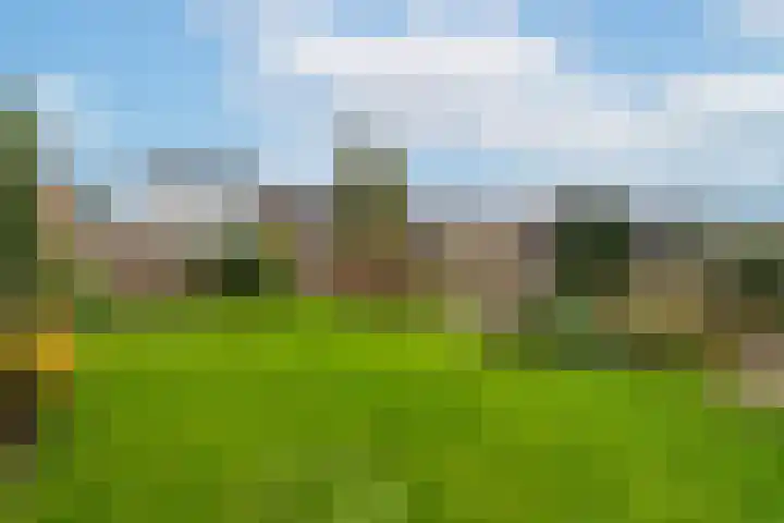 Vissersdijk 84 Werkendam thumbnail 24