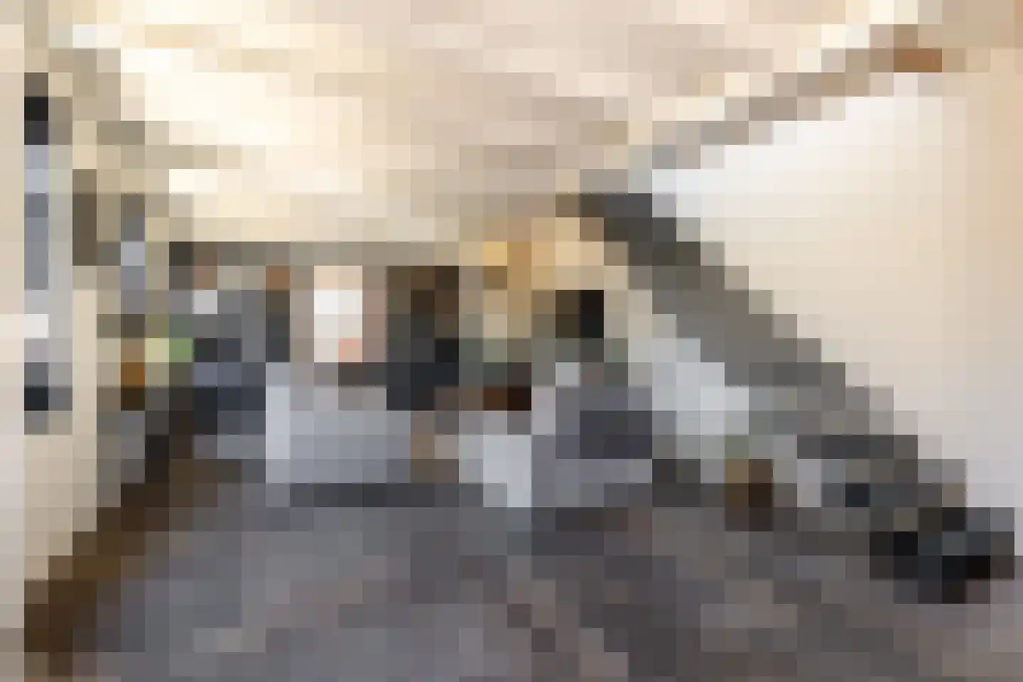 Vissersdijk 9 Heenvliet thumbnail 6