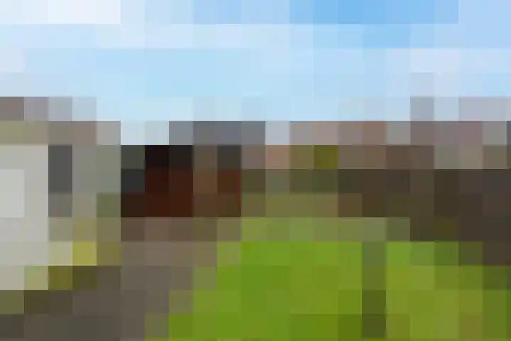 Vissersdijk 94 Werkendam thumbnail 22