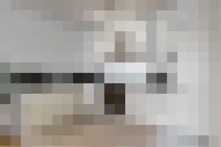 Visserseiland 129 Hoorn thumbnail 20