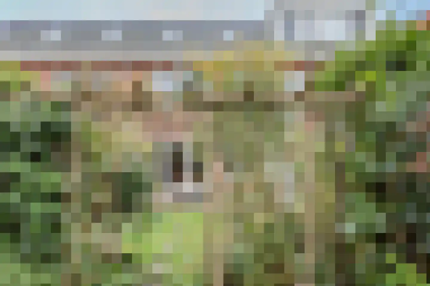 Visserseiland 183 Hoorn thumbnail 12