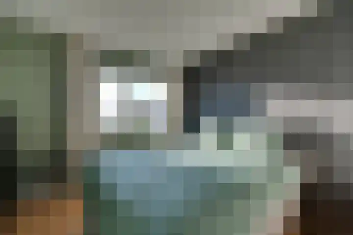Visserseiland 66 Hoorn thumbnail 32