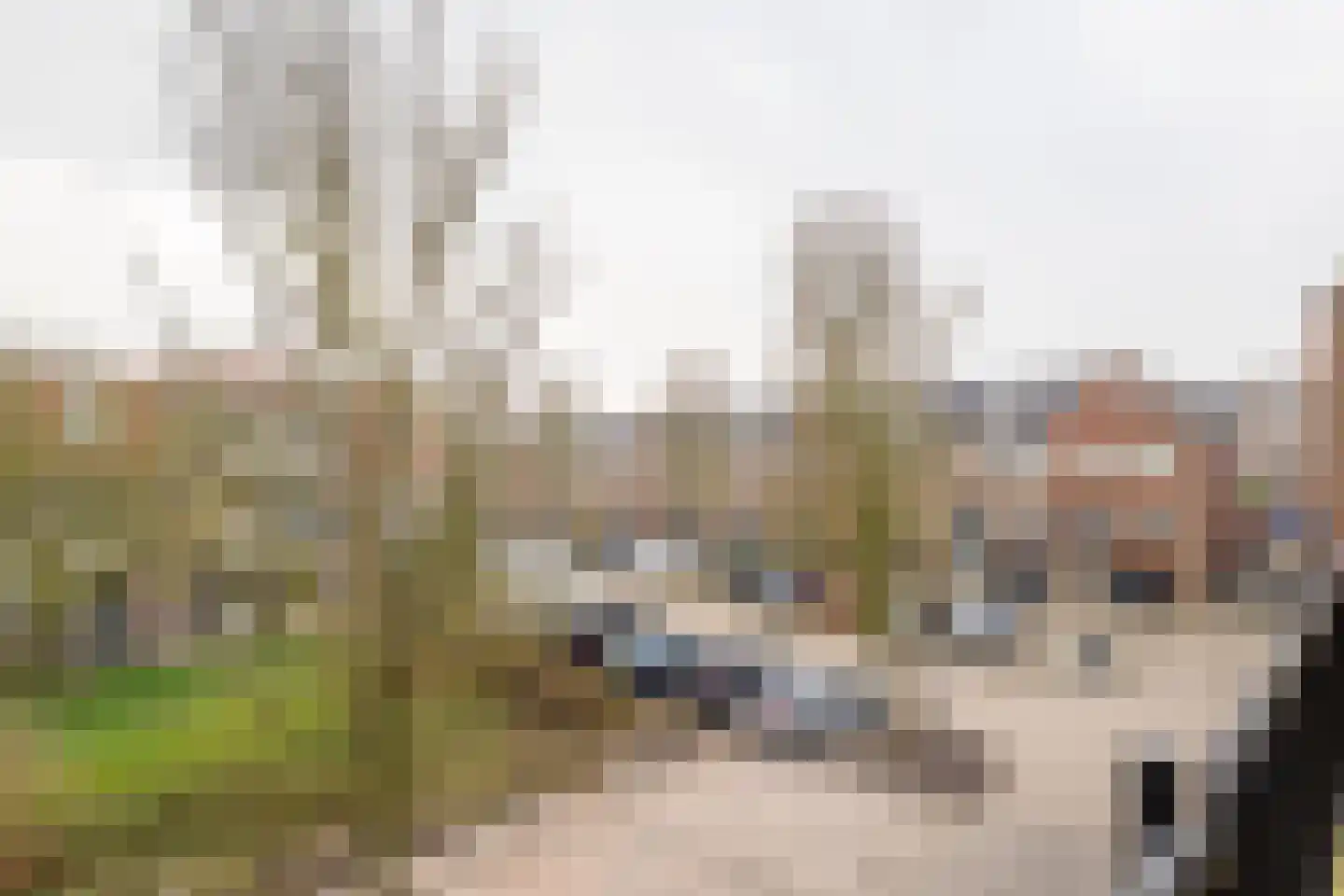 Visserseiland 79 Hoorn thumbnail 41