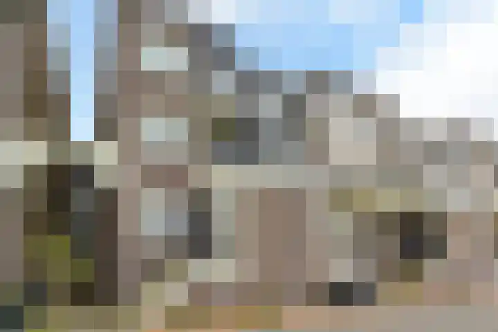 Visserseiland 88 Hoorn thumbnail 22