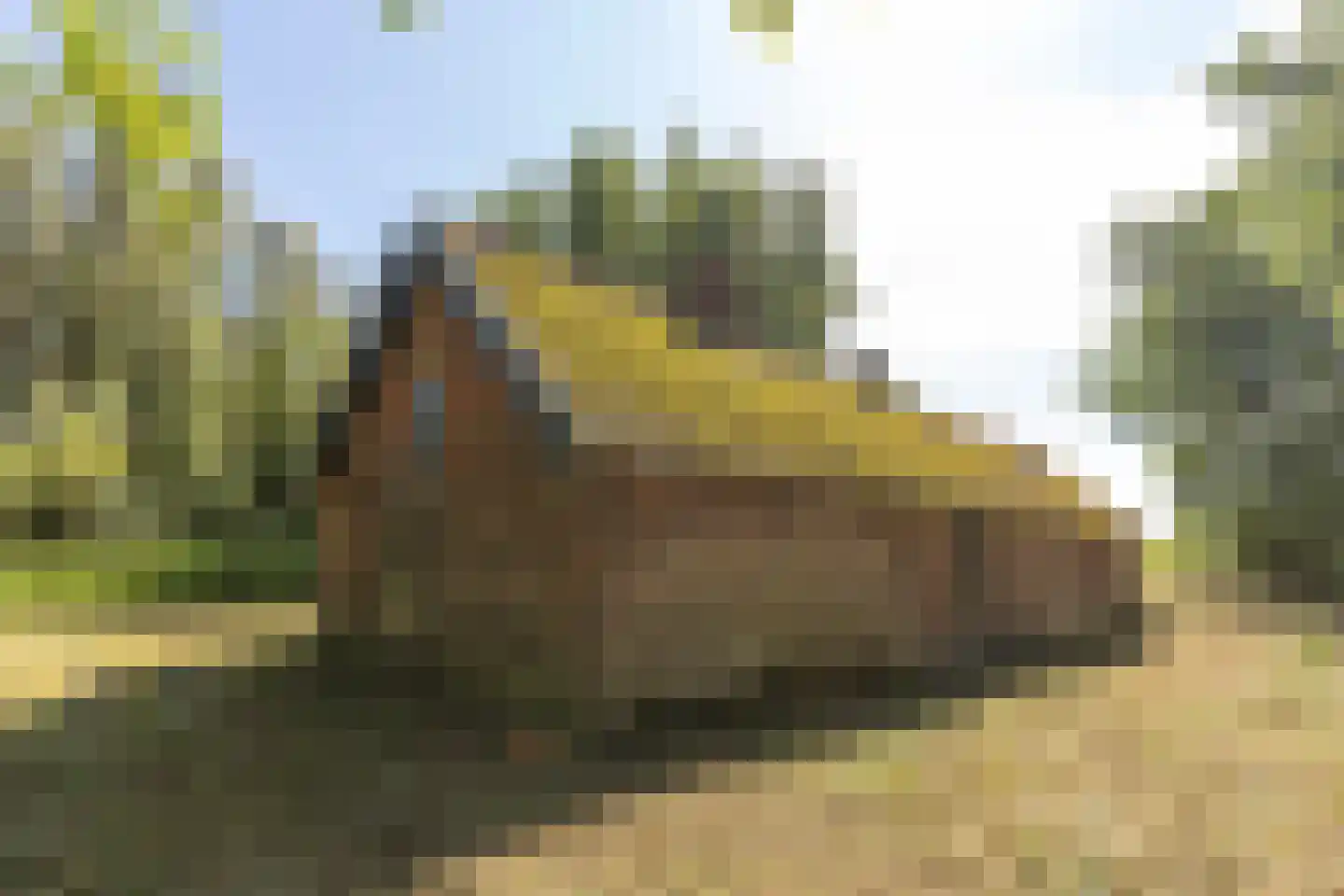 Vissershang 6 Hank thumbnail 10