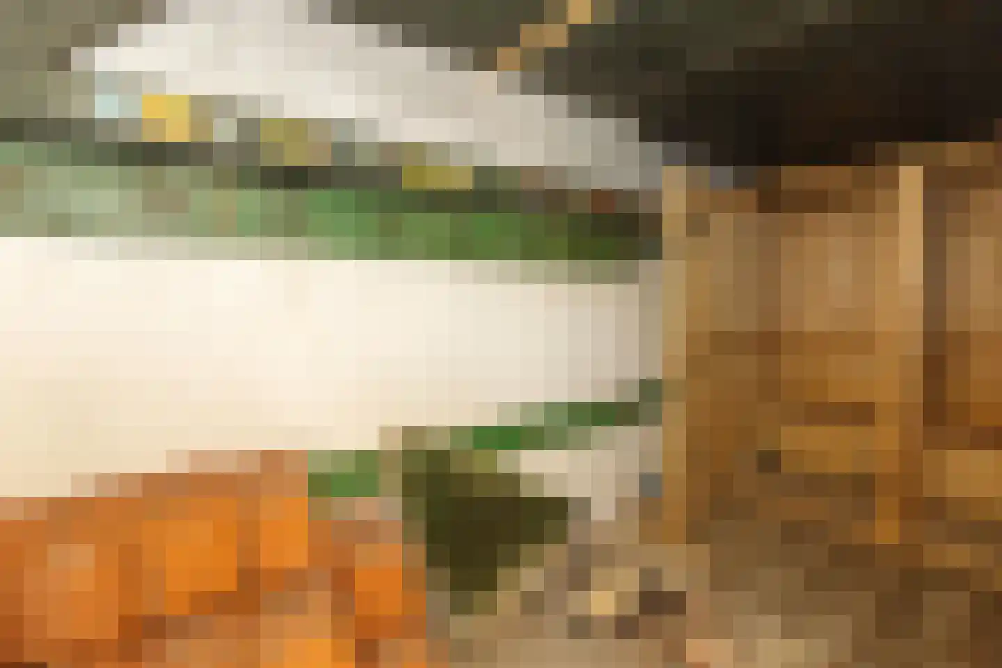 Vissershang 6 Hank thumbnail 19