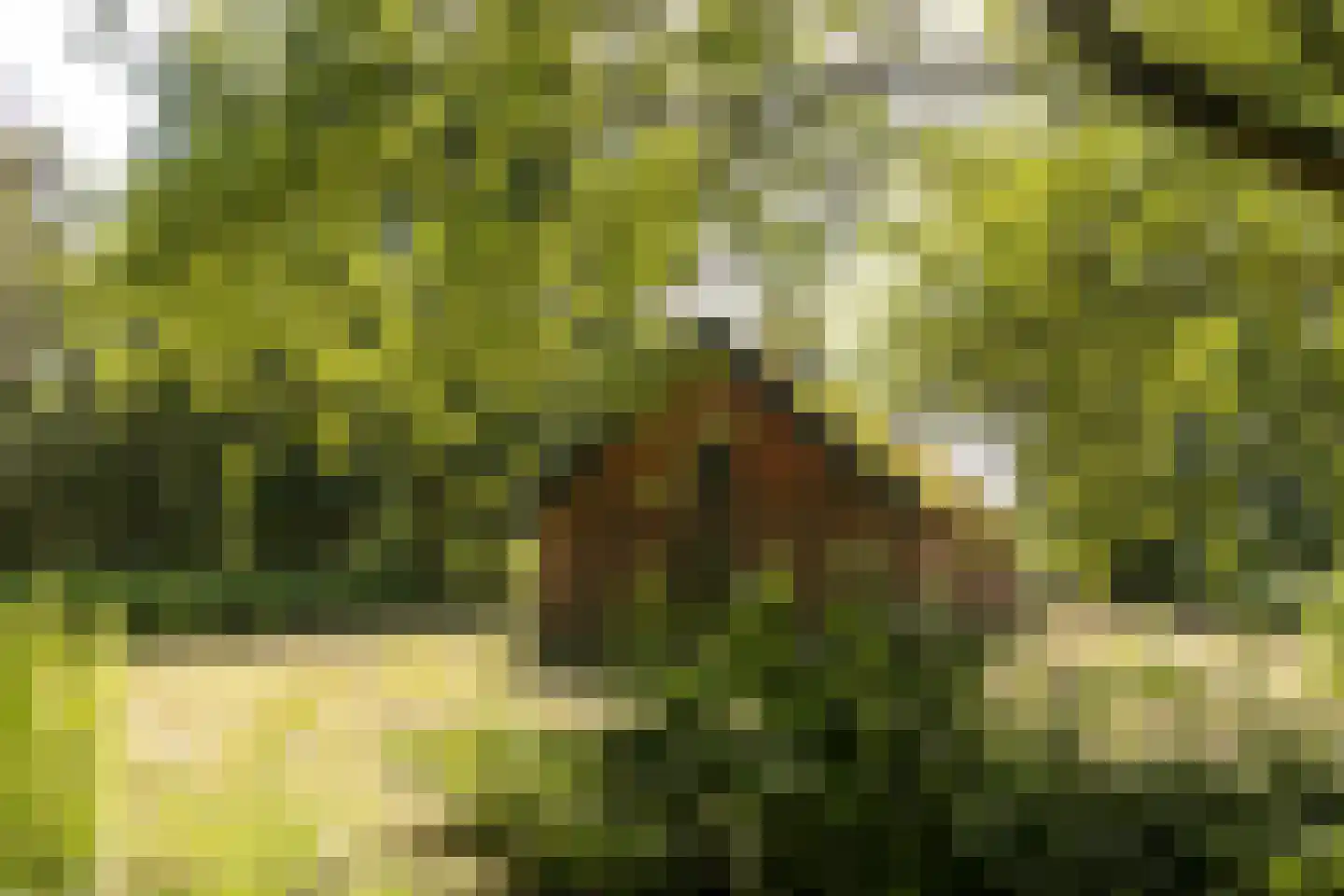Vissershang 6 Hank thumbnail 24