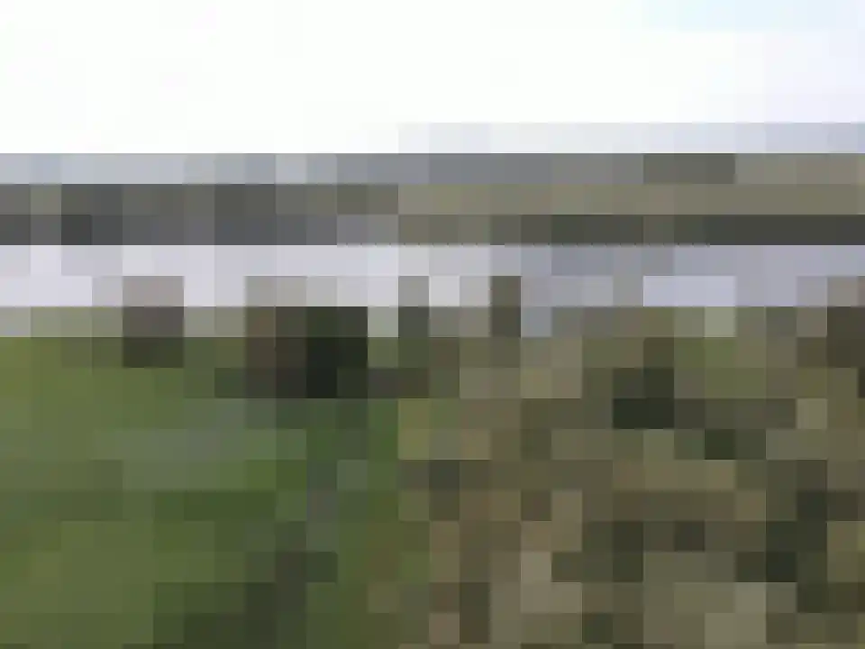 Vissershang 6 Hank thumbnail 26
