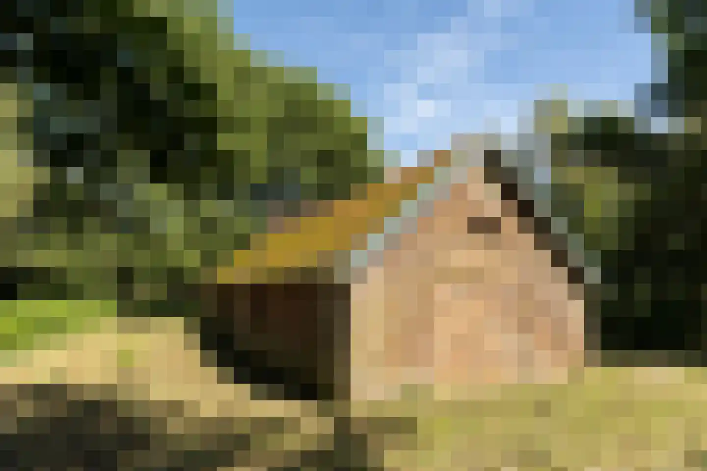 Vissershang 6 Hank thumbnail 4