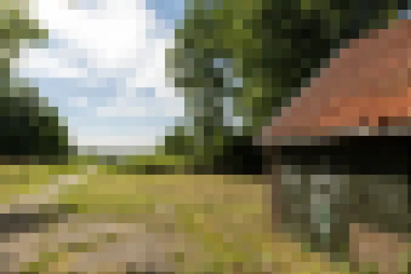 Vissershang 6 Hank thumbnail 7
